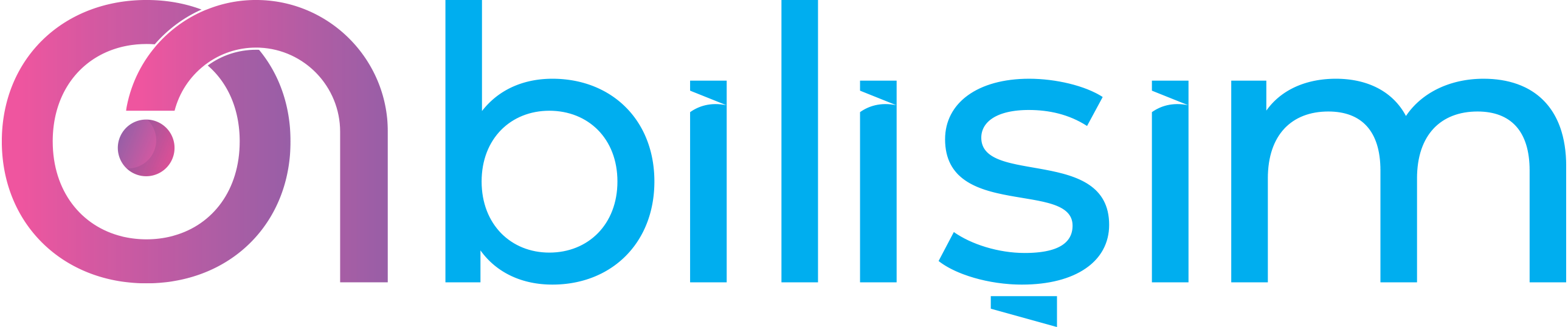 On Bilişim